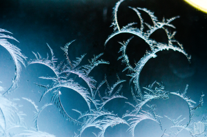 Feathered Frost